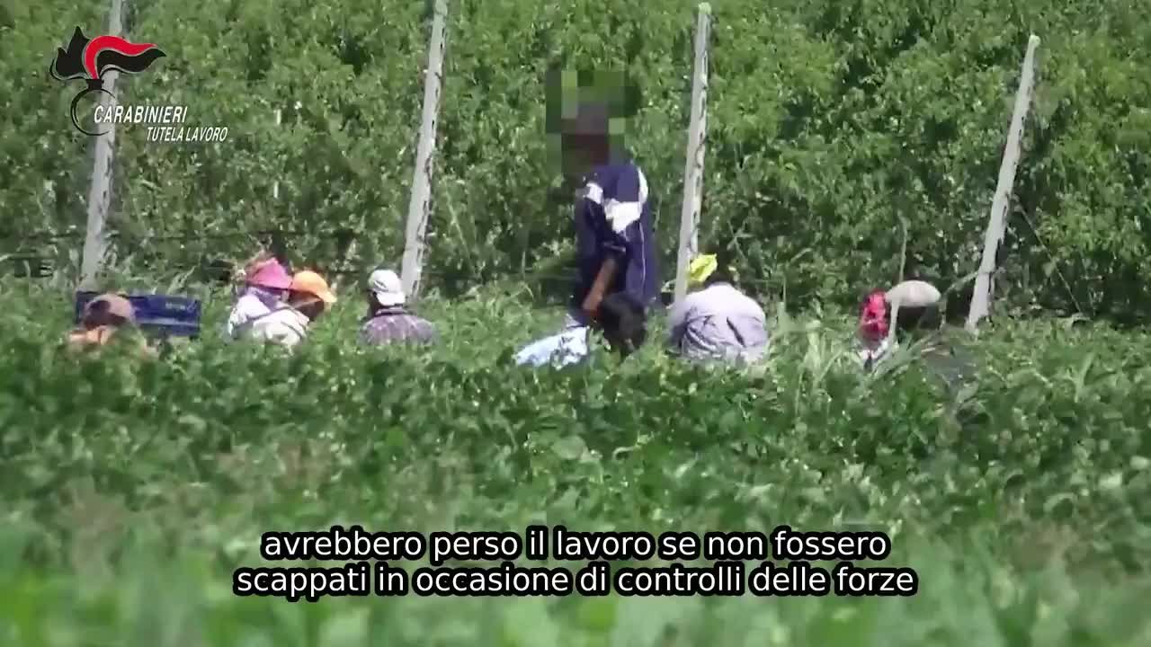 https://wips.plug.it/cips/notizie.virgilio.it/cms/2026/10/video_bc6406413346112.jpg
