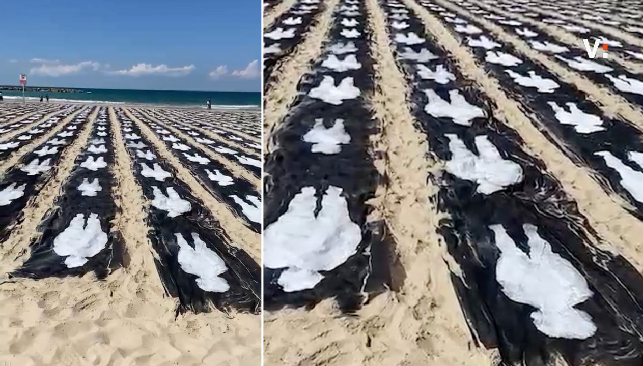 israele ricorda le vittime nel massacro di hamas del 7 ottobre 1200 sagome bianche sulla spiaggia di tel aviv da Virgilio.it israele ricorda le vittime nel massacro di hamas del 7 ottobre 1200 sagome bianche sulla spiaggia di tel aviv