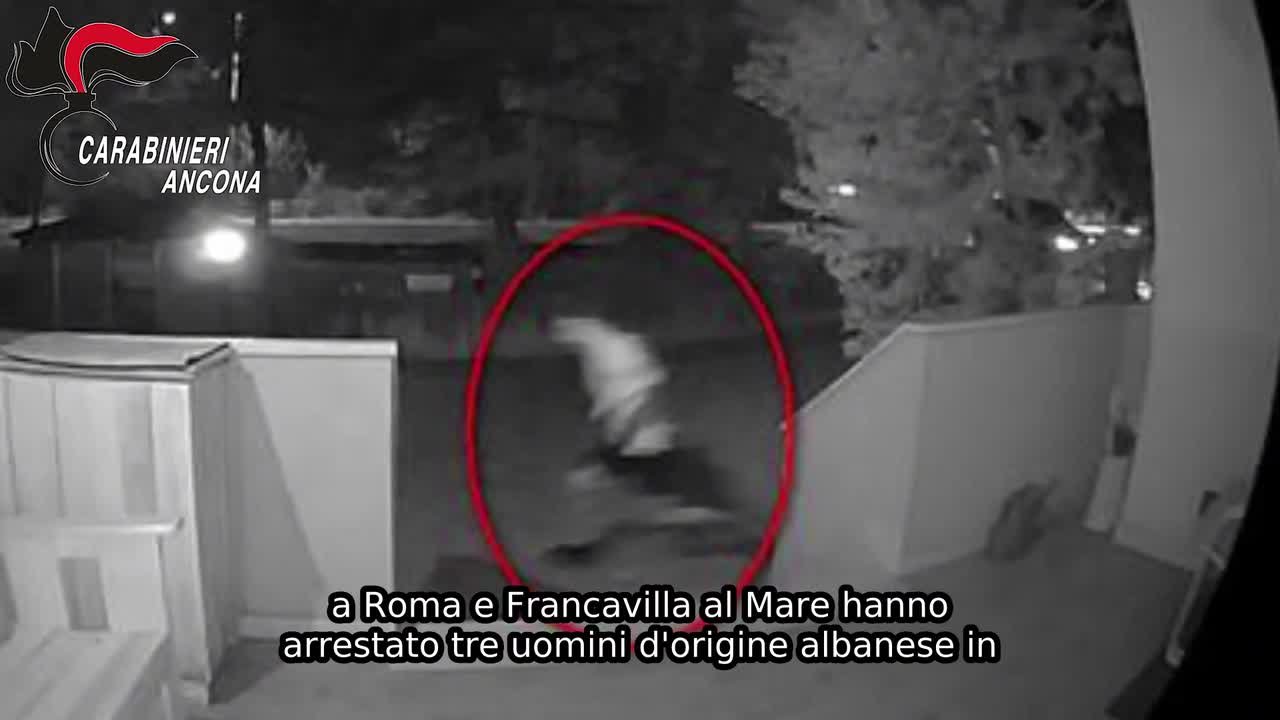 https://wips.plug.it/cips/notizie.virgilio.it/cms/2026/10/video_bc6406529905112.jpg