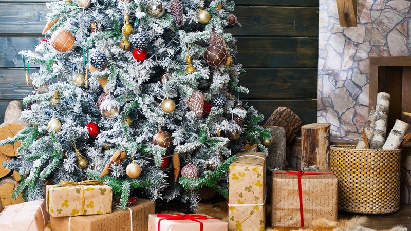 Cerchi l'albero di Natale perfetto per la tua casa?