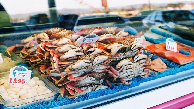 Dove comprare pesce fresco a Milano?