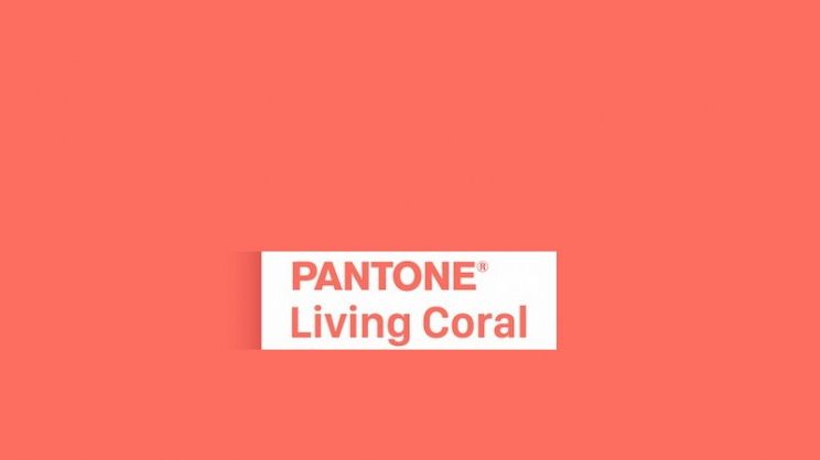 Colore Pantone 2019 Living Coral è La Nuance Dellanno Pg