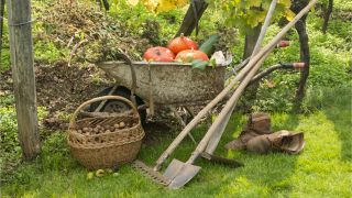 Soffiatore per eliminare le foglie dal giardino: come sceglierlo - Donna  Moderna