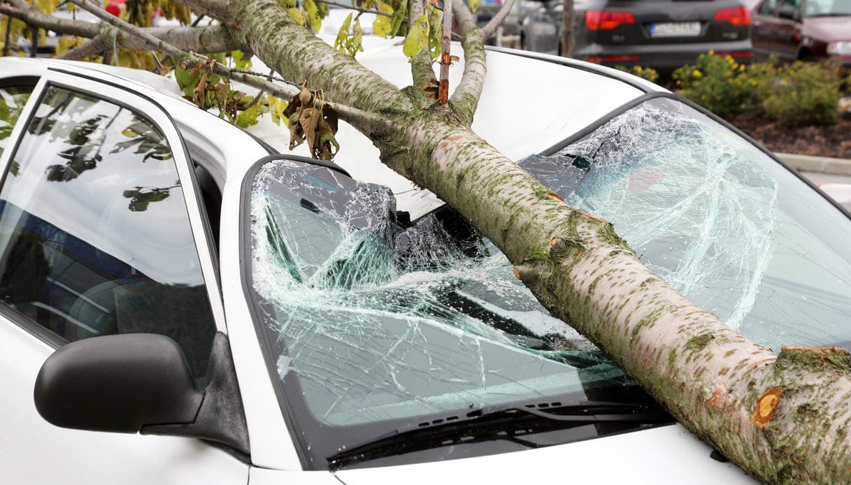risarcimento danni caduta albero su auto