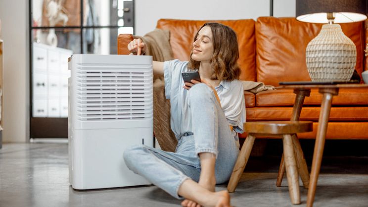 Consigli24  Basta poco a levare umidità dall'aria di casa: ecco i migliori  deumidificatori