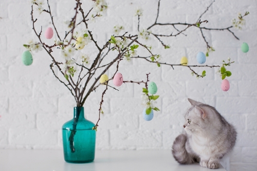 Albero di Pasqua; la sua storia e tante idee per decorarlo