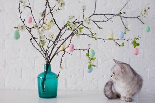 Albero di Pasqua, come farlo: idee e consigli