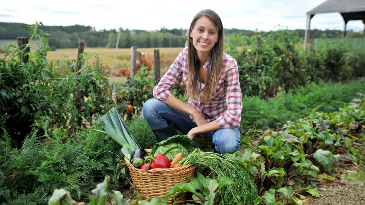 Farmacia Agricola Articoli per agricoltura, giardinaggio e casa