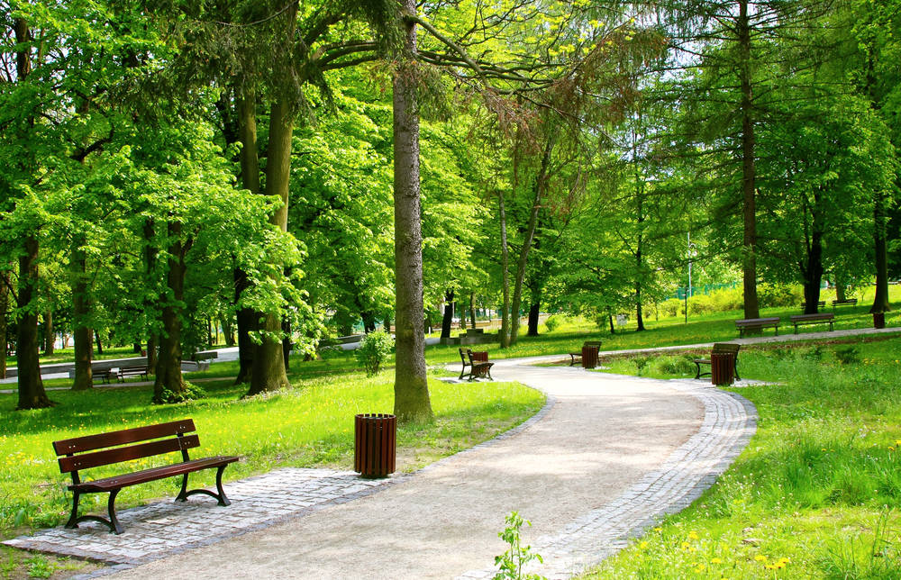 Arbusti Di Dimensioni Ridotte Per Giardini E Terrazzi