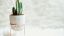 Eco Design