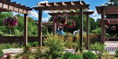 Creare un giardino pensile: progettazione e manutenzione