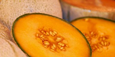 Come coltivare il melone: consigli e metodi