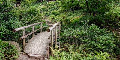 Come progettare un giardino giapponese?