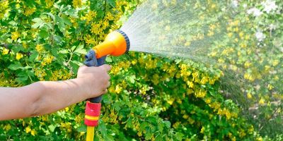 Irrigazione per il giardino: quanto costa?
