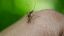 disinfestazione da mosche e zanzare