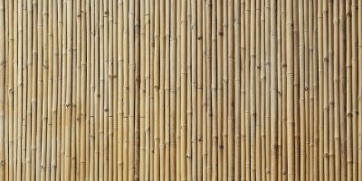Tutte le informazioni sulla parete effetto bamboo