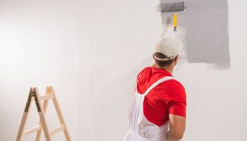pittura ai silicati