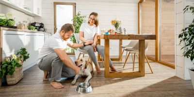 Consigli per igienizzare casa se si hanno animali domestici