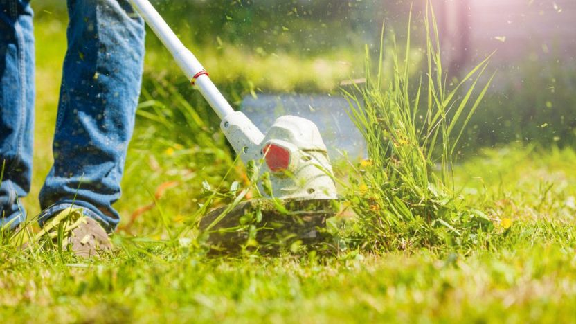 Come organizzare un terreno incolto