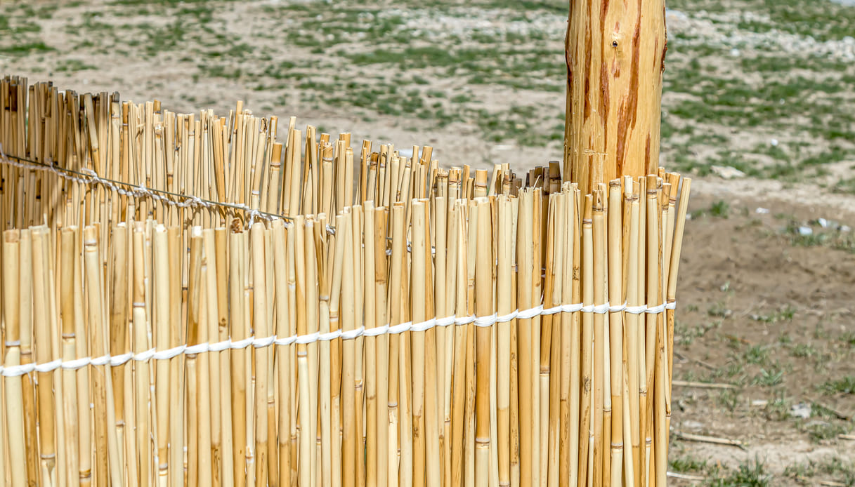 26x Idee di recinzione in bambù per giardini, terrazze o balconi