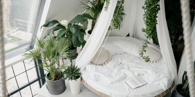 soffitto con piante