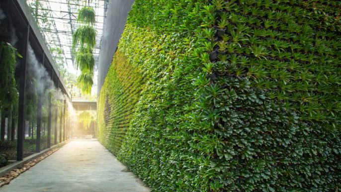 come progettare un giardino verticale