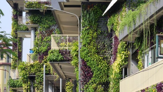 come progettare un giardino verticale