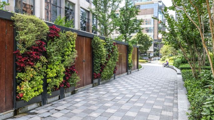 come progettare un giardino verticale