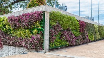 come progettare un giardino verticale