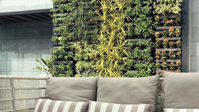 come progettare un giardino verticale