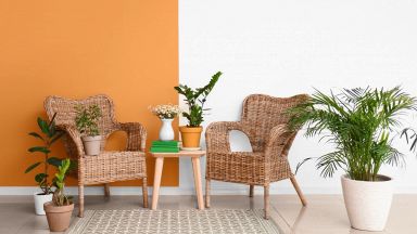 magazine casa