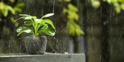 giardino sistemi di drenaggio e raccolta acqua piovana