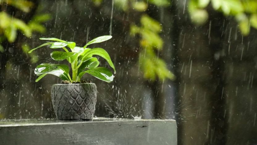 Raccoglitore Acqua Piovana 40 Pollici Per Pluviali 5x7,9 Cm - Kit Deviatore Universale Per Barile Da Giardino - 4