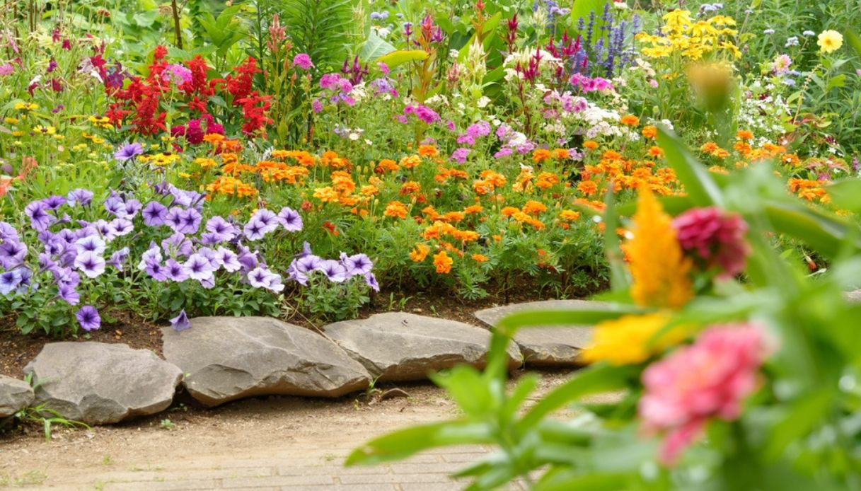 abbellire un giardino con pietre