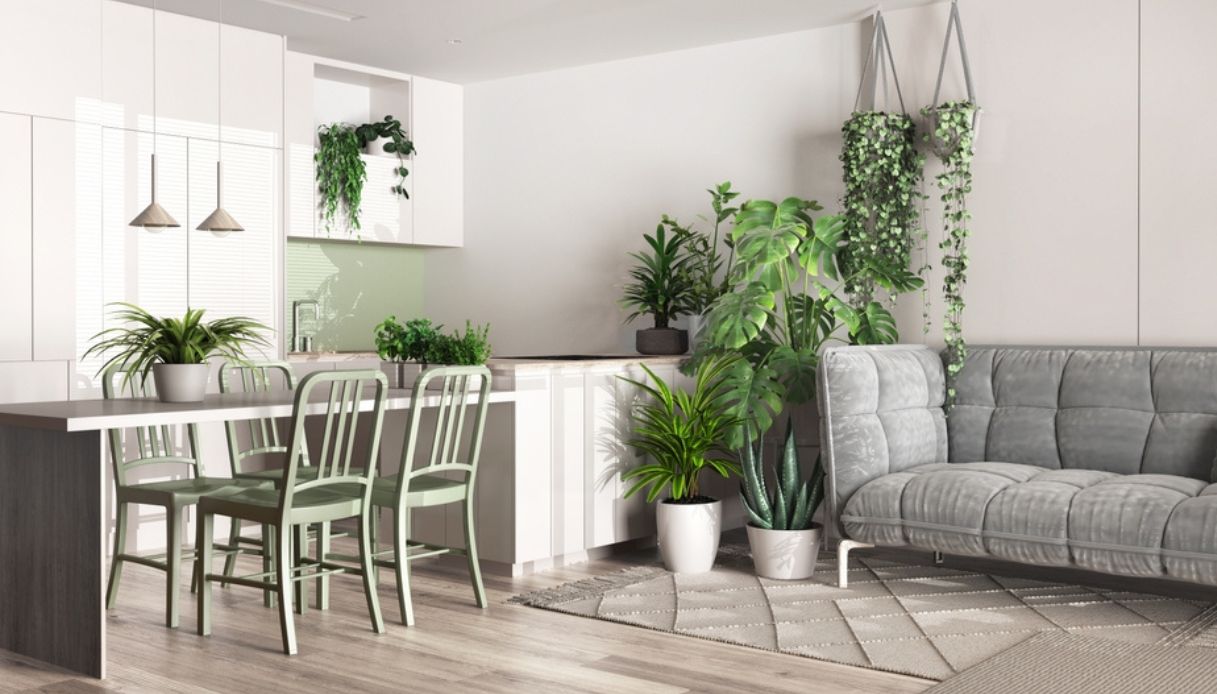 casa con arredamento biofilico