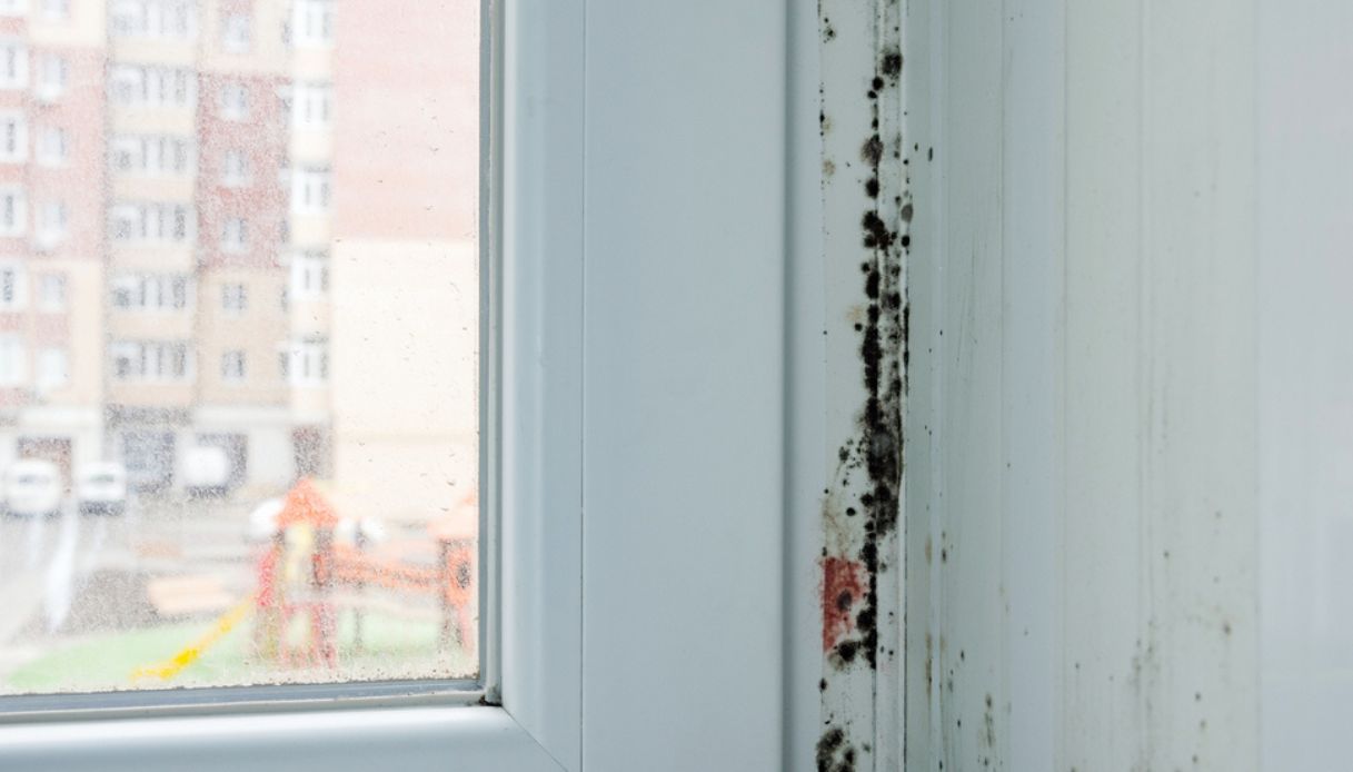 condensa vicino a infissi