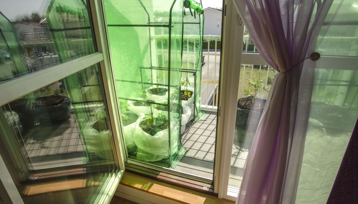 serra sul balcone in inverno per proteggere le piante