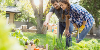 Cosa piantare a marzo in vaso, nell'orto e in giardino