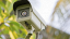 videocamera di sicurezza in giardino