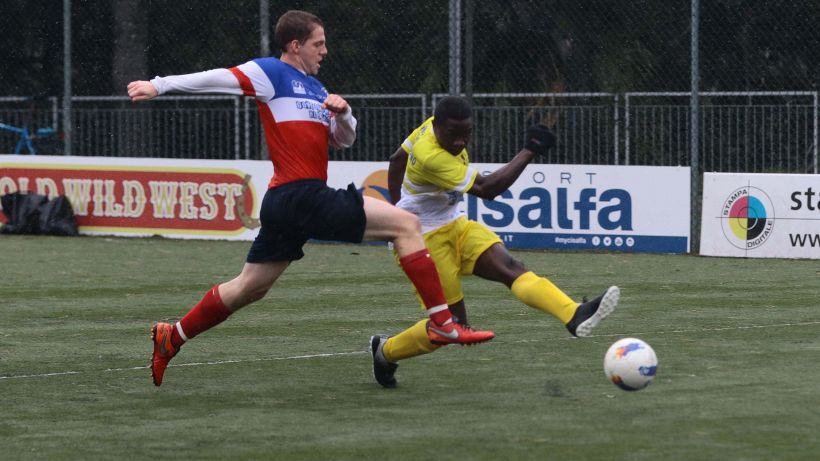 Clericus Cup, Leoni d'Africa protagonisti