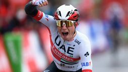 Vuelta: tappa a Philipsen, Roglic sempre leader