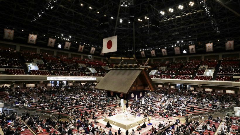 Hibikiryu, agonia finita: il lottatore di sumo è morto