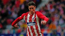 Fernando Torres torna a giocare: "Venerdì vi dico dove"