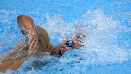 Nuoto, tutti i convocati per i Mondiali di Fukuoka