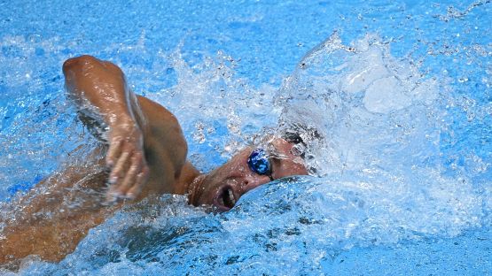 Nuoto, Paltrinieri vola in Egitto per prepararsi al meglio alla stagione