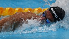 Nuoto, Paltrinieri lancia l'Italia: "Mi aspetto quanto fatto in precedenza"