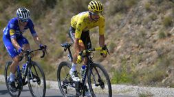 Ciclismo, Elia Viviani: “Loulou il mondo del ciclismo ti deve solo ringraziare”