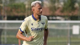 Fiorentina: si avvicina Barak