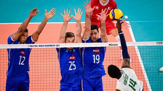 Mondiali maschili, gruppi B, C e D: primi posti per Brasile, Polonia e Francia