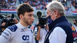 Marko gela Gasly: “Dal 2024 può considerarsi libero”